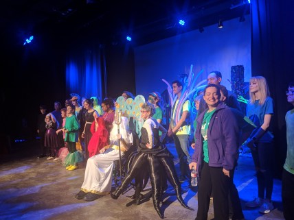Inclusive line of dancers performing onstage, including dancers using wheelchairs
